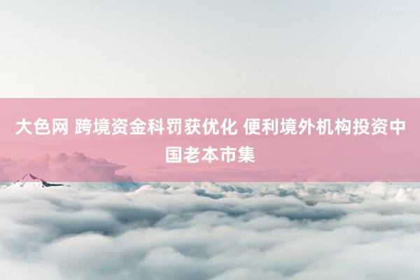 大色网 跨境资金科罚获优化 便利境外机构投资中国老本市集