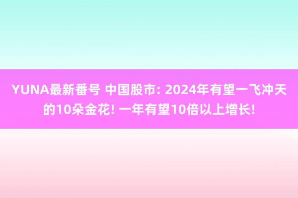 YUNA最新番号 中国股市: 2024年有望一飞冲天的10朵金花! 一年有望10倍以上增长!
