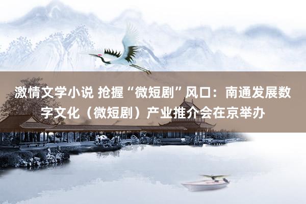 激情文学小说 抢握“微短剧”风口：南通发展数字文化（微短剧）产业推介会在京举办
