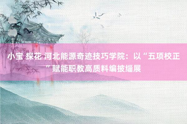 小宝 探花 河北能源奇迹技巧学院：以“五项校正”赋能职教高质料编披缁展
