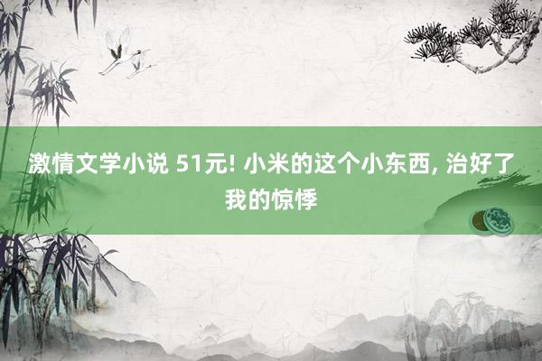 激情文学小说 51元! 小米的这个小东西, 治好了我的惊悸