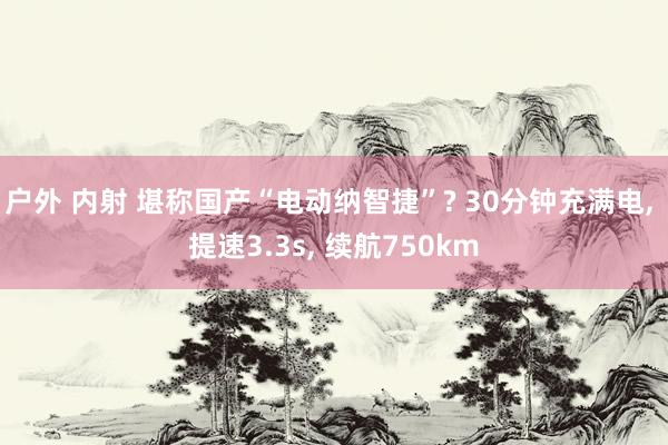 户外 内射 堪称国产“电动纳智捷”? 30分钟充满电, 提速3.3s, 续航750km