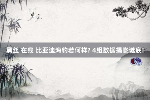 黑丝 在线 比亚迪海豹若何样? 4组数据揭晓谜底!