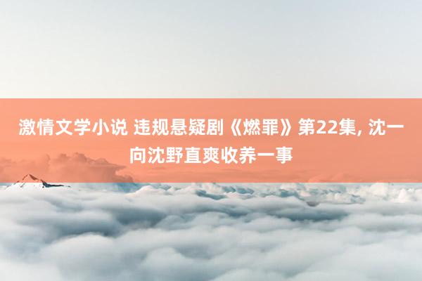 激情文学小说 违规悬疑剧《燃罪》第22集, 沈一向沈野直爽收养一事