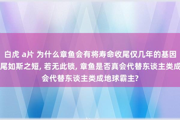 白虎 a片 为什么章鱼会有将寿命收尾仅几年的基因锁, 为何收尾如斯之短, 若无此锁, 章鱼是否真会代替东谈主类成地球霸主?
