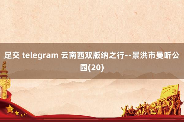 足交 telegram 云南西双版纳之行--景洪市曼听公园(20)