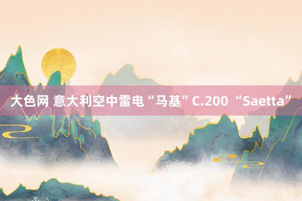 大色网 意大利空中雷电“马基”C.200 “Saetta”
